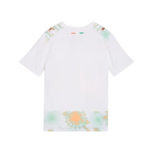 MAGLIA MONDIALI COSTA D'AVORIO AWAY 2026/27